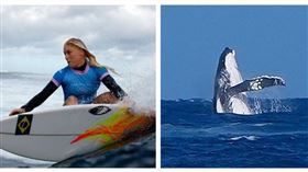 奧運衝浪4強賽座頭鯨躍出海面　選手與海洋巨獸共舞