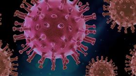 （病毒示意圖／翻攝自Pixabay）