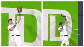 ▲藍鳥中外野手瓦修（Daulton Varsho）跳在空中接殺後撞牆。（圖／翻攝自MLB官網）