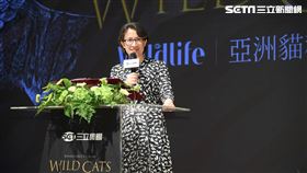 ▲副總統蕭美琴出席「Wildlife頻道開播暨亞洲貓科大復興紀錄片首映會」(圖／記者鄭孟晃攝影)