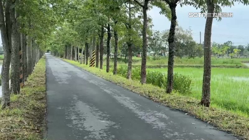 白河「最美花道」傳性騷優　騎士熊抱女子