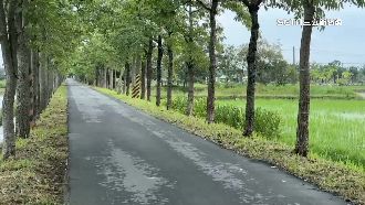 白河「最美花道」傳性騷優　騎士熊抱女子