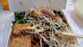 買自助餐掀蓋見壁虎　業者：是死掉的青蛙