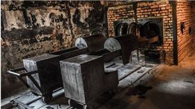 生物公司違法收千具屍　植入異體骨賺17億