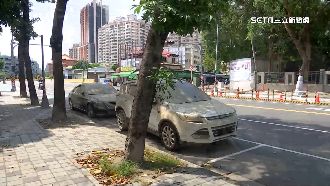 獨／泡水車停收費車格　沒車牌不能開單