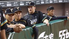 ▲台鋼雄鷹新洋投鳥松（Ljay Newsome）。（圖／台鋼雄鷹提供）