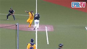 ▲台鋼雄鷹張肇元被傳球砸，改判妨礙跑壘。（圖／翻攝自CPBL TV）