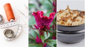 ▲拜七娘媽可以準備針線、雞冠花、油飯等（圖／CANVA製作）