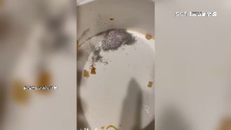 知名排骨飯餐盒底部疑發霉！業者回應了