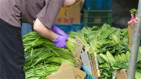 颱風造成農損　民眾預估菜價將漲颱風凱米襲台，造成全台灣農作物損失慘重，民眾預估蔬菜供貨量將減少，價格看漲。圖為台北市北投區的市場菜販26日在攤位整理葉菜類商品。中央社記者徐肇昌攝　113年7月26日