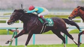 日本馬術選手角田大河10日驚傳已離世。（圖／翻攝自IG @t_t0521）