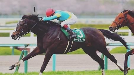 日本21歲馬術選手驚傳身亡！協會已證實