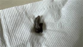 台中一名女子在喝飲料時吃到蜥蜴。（圖／翻攝畫面）