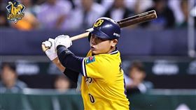 ▲中信兄弟林吳晉瑋。（圖／中信兄弟提供）