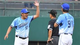 ▲富邦悍將總教練陳金鋒抗議。（圖／富邦悍將提供）