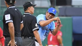 ▲富邦悍將總教練陳金鋒抗議。（圖／富邦悍將提供）