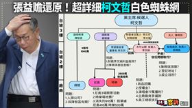 張益贍還原！超詳細柯文哲白色蜘蛛網