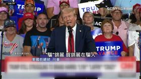 賀錦麗人氣靠AI　美CNN辣評：「川普才是」