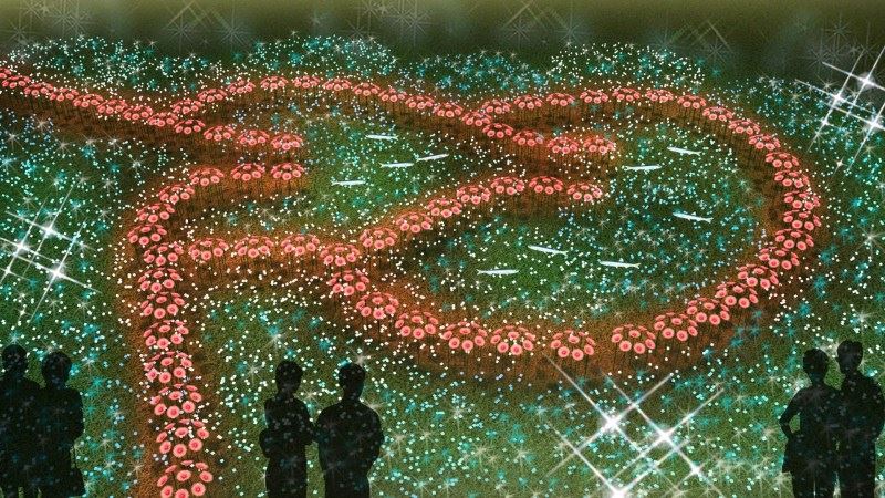 「澎湖追風音樂燈光節」17座光藝術搶先看