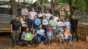 圖／法國皇家提供