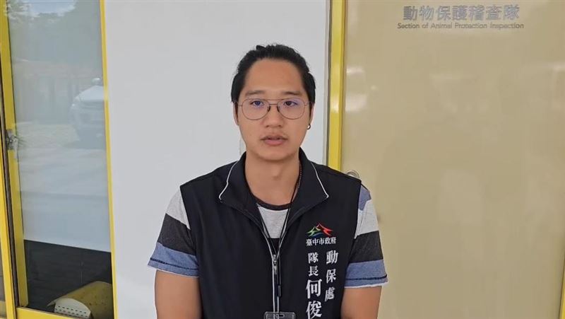 台中梧棲驚傳殘忍熱油虐貓　動保處緝凶