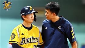 ▲江坤宇遭觸身球後提前退場。（圖／中信兄弟提供）