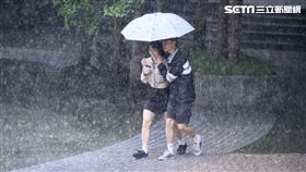 大雨,雨,下雨,雨天,降雨,天氣,氣象,路人。（圖／記者鄭孟晃攝影）