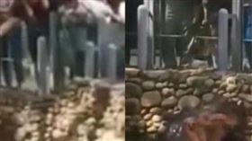 男子拿洋芋片餵河馬。（圖／翻攝爆料公社）