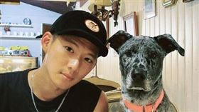 吳念軒時常在IG曬毛小孩，豈料，日前他的狗卻意外被咬傷。（圖／翻攝自IG）