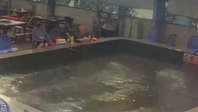 宜蘭近海發生5.7地震，釣蝦池出現一道道的波浪。（圖／翻攝畫面）