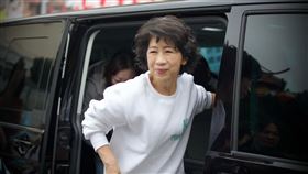 陳佩琪（圖／翻攝自陳佩琪臉書）