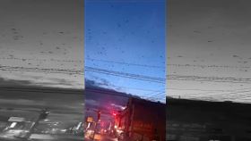 彰化二林，驚見群鳥亂飛，民眾疑「地震前兆」，(圖／吳小姐提供)