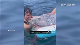 巧合! 加州驚現