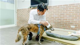 賴清德迎接斑斑入住（圖／總統府提供）