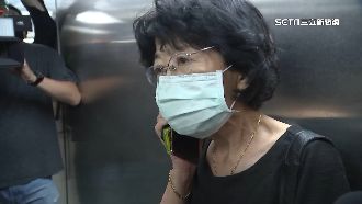 昔認有犯意沒犯行　陳佩琪改口稱反諷寫法