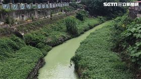 新北,中和,永和,瓦窯溝,廢水,螢光綠,巴斯克林,記者莊淇鈞攝影