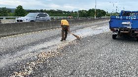 男載廚餘整桶翻落車道  忍惡臭留下打