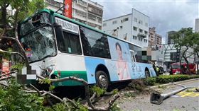 新北,蘆洲,公車,路樹,分隔島,酒測,酒駕,公共危險