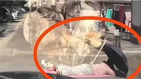 中國大媽夯「曬背療法」！馬路中間擺瑜珈墊一趴　下秒慘被撞飛