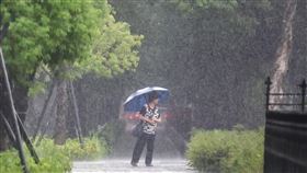 北市午後天色昏暗有雨（2）對流雲系發展旺盛，台北市信義區15日午後雨勢明顯，天色因雲層密布顯得昏暗，有民眾撐傘獨自走在大雨中。中央社記者裴禛攝  113年8月15日