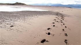 沙灘,海邊,腳印（圖/翻攝自pixabay）
https://pixabay.com/photos/beach-nature-sense-landscape-117255/