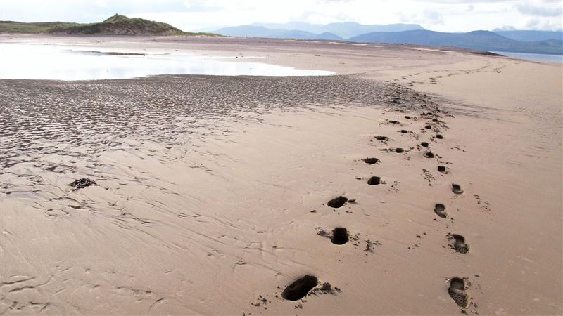 海灘散步驚見「大坑洞」　專家：恐龍腳印