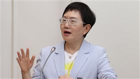 推動台美避免雙重課稅  莊翠雲：持續溝通立委關心推動台美避免雙重課稅協定（ADTA）進展，期盼美方盡快通過。財政部長莊翠雲（圖）26日在立法院財政委員會表示，今年遇到美國大選，但台灣繼續溝通，對本屆美國國會並沒有放棄努力。中央社記者謝佳璋攝  113年6月26日