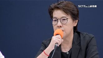 珊任善後小組召集人　黨內不滿：誰敢究責