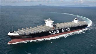 斥115億巨資買船？陽明31日法說議題曝光