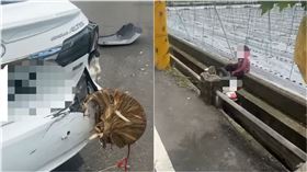 機車,阿嬤,車禍,斗笠,美濃區,高雄市