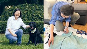 蔡英文愛犬Maru過世。（組合圖／翻攝自蔡英文臉書）