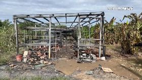 v百萬蕨燒光1200