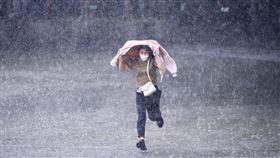 大雨,雨,下雨,雨天,降雨,天氣,氣象,路人。（圖／記者鄭孟晃攝影）