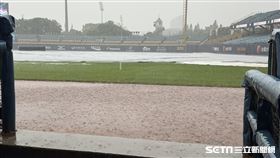 ▲新莊棒球場大雨來襲影響造成延賽。（圖／記者黃耿誼攝影）